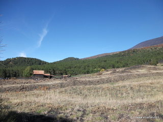 fugio Carpinteri08-11-2012 12-48-18